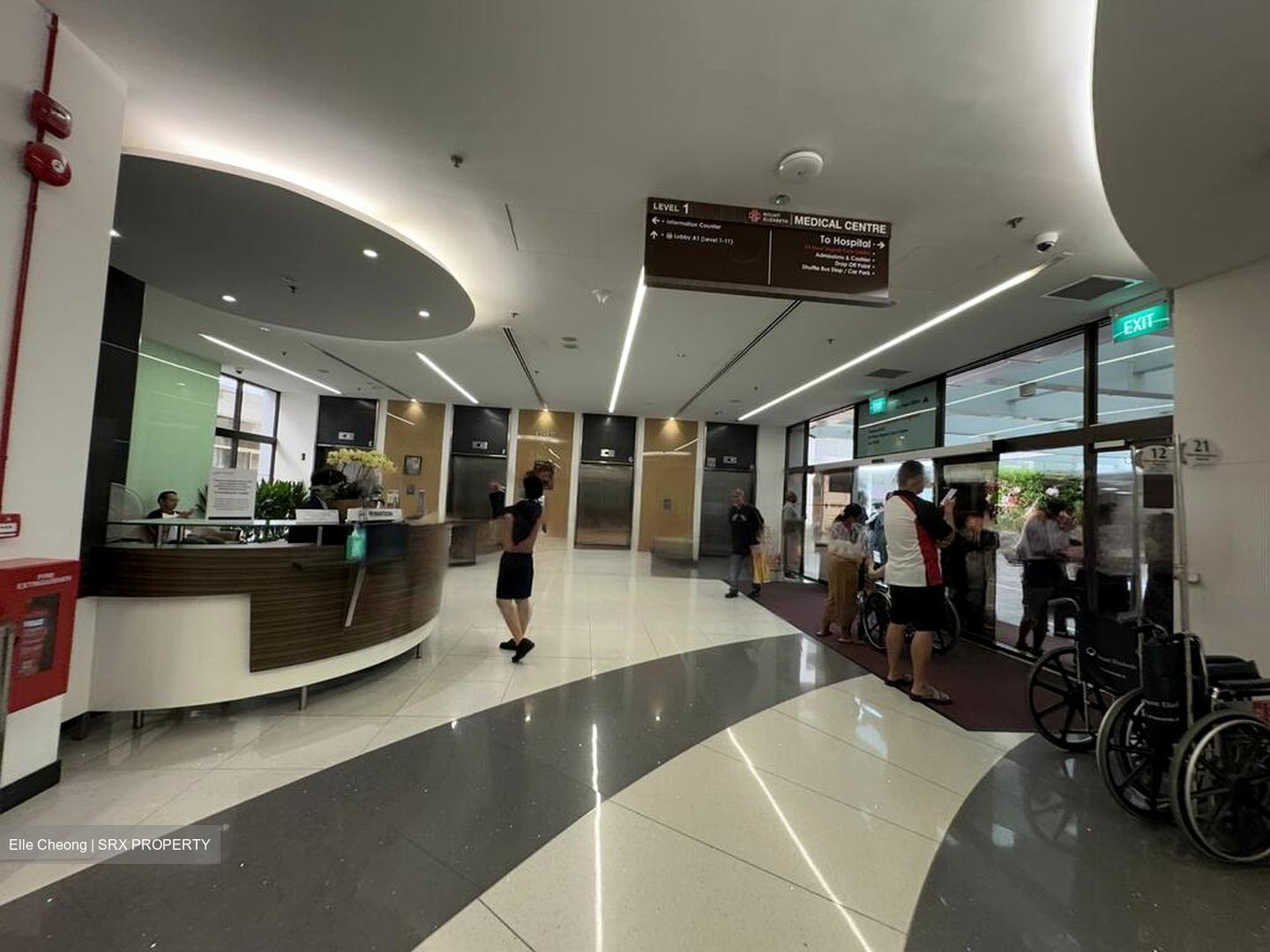 Mount Elizabeth Hospital (D9), Retail #454695611